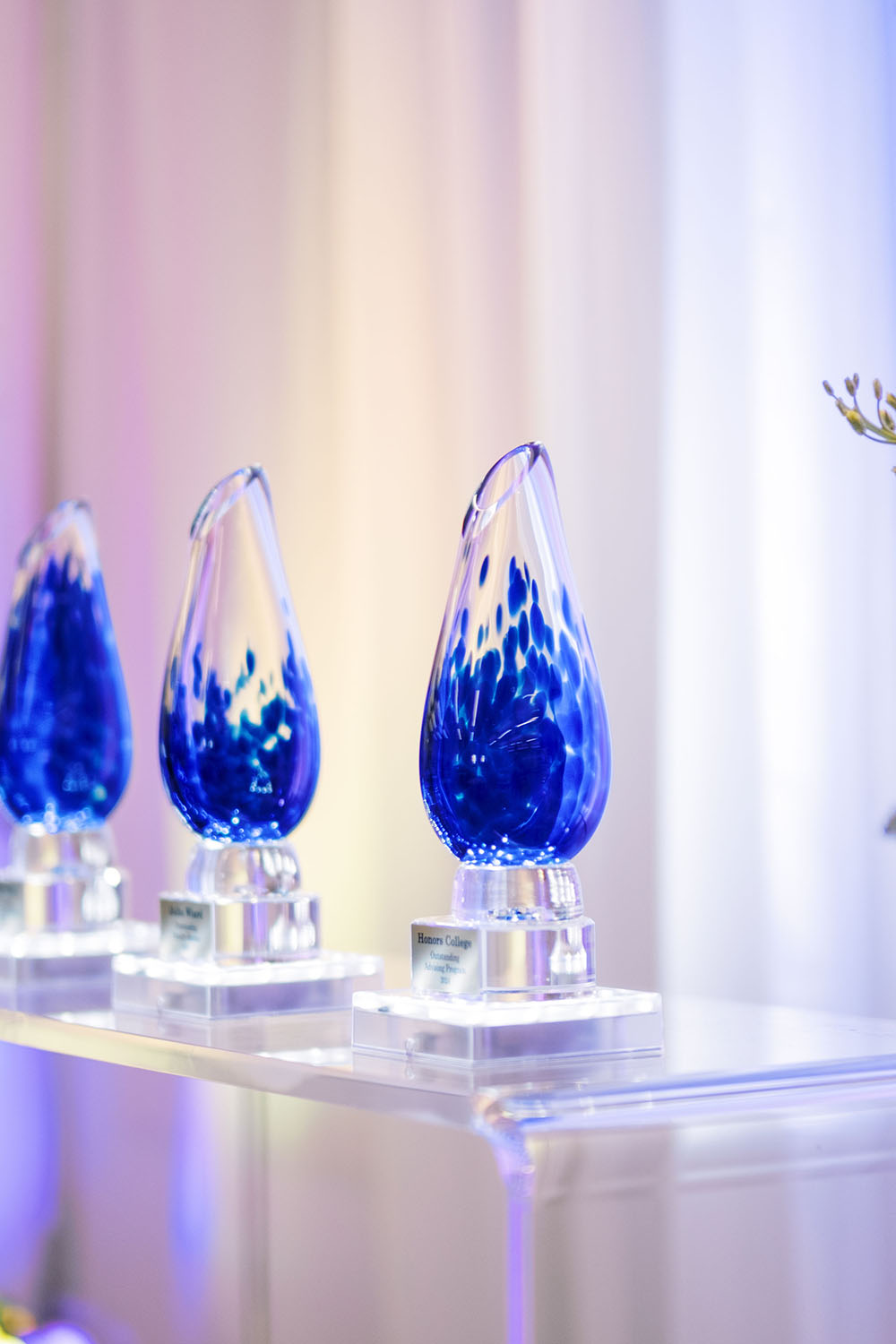 Provost Advising Awards